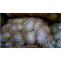 New Crop Fresh Potato for Bangladesh Market